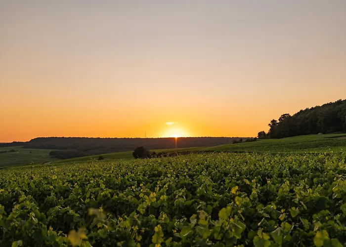 Loisium Wine & Spa Hotel Champagne